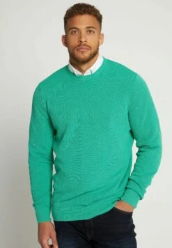 JP1880 Trui - Mai Grün