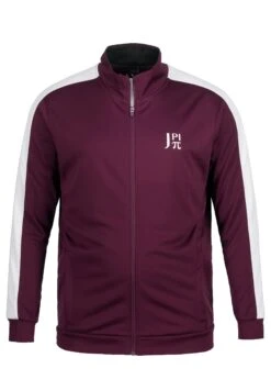 JP1880 Spéciale Fitnessmontant - Jus - Trainingsvest - Aubergine 11 JP1880 Spéciale Fitnessmontant - Jus - Trainingsvest - Aubergine -JP1880 518c210c3e4441e7976c9246f3c90f29
